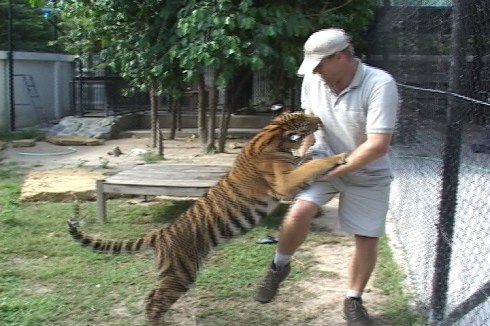 Zolt with Tiger