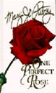 One Perfect Rose