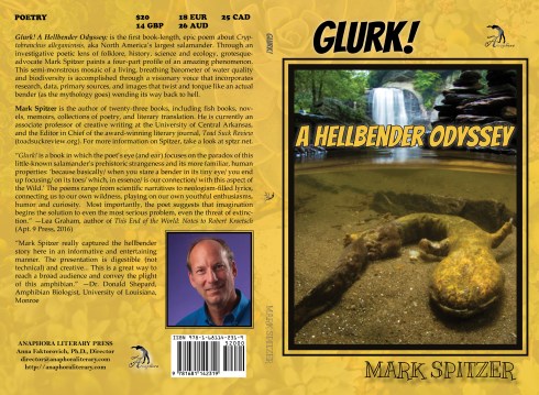 Spitzer - Cover - 9781681142319