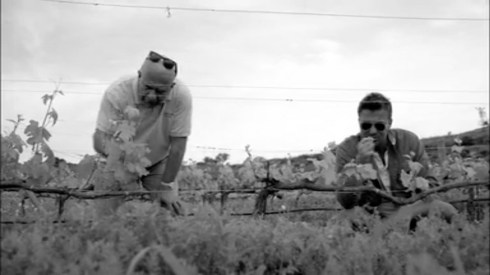 Fig 27 - Rasheed Sali and Jack Maxwell at a resurrected grape farm in Turkey
