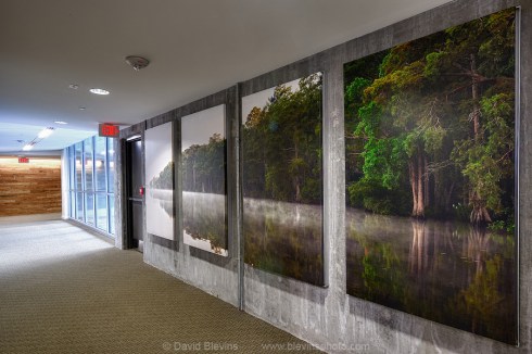 Chowan River in the Hall